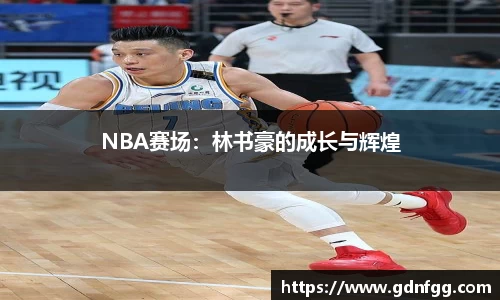 NBA赛场：林书豪的成长与辉煌